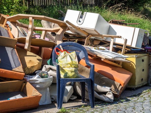 Best Appliance Removal Near Me  in Linden, MI