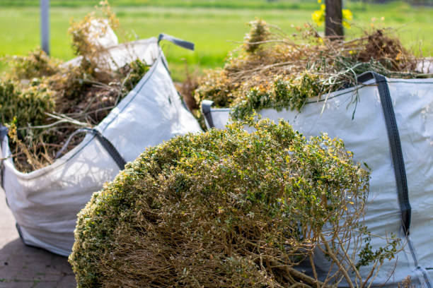 Best Trash Removal Near Me  in Linden, MI