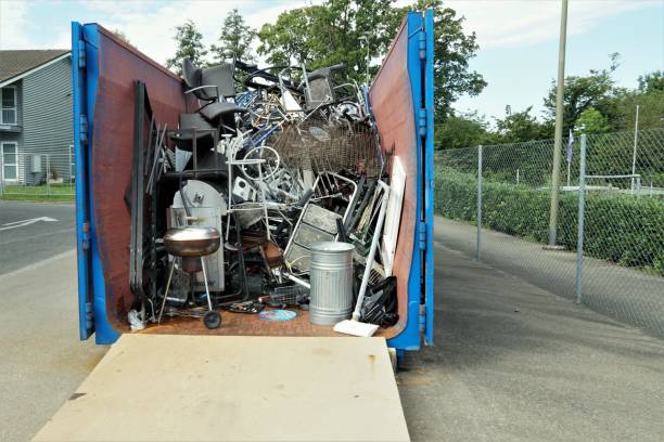 Best Yard Waste Removal  in Linden, MI