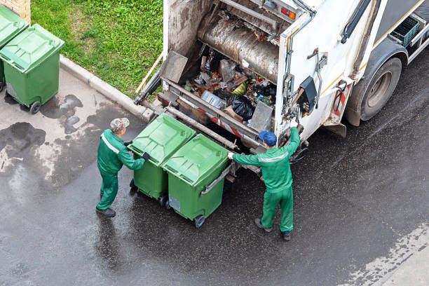Debris Removal in Linden, MI
