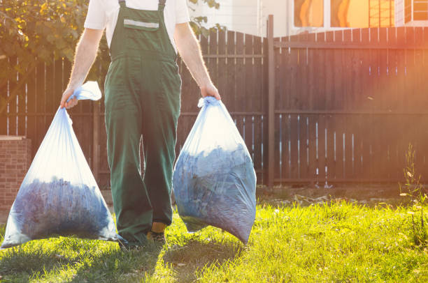 Best Office Junk Removal  in Linden, MI