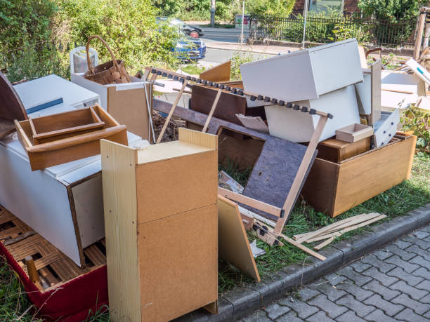 Best Professional Junk Removal  in Linden, MI